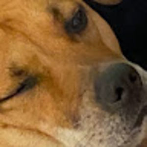 Meet your Posher, Macy